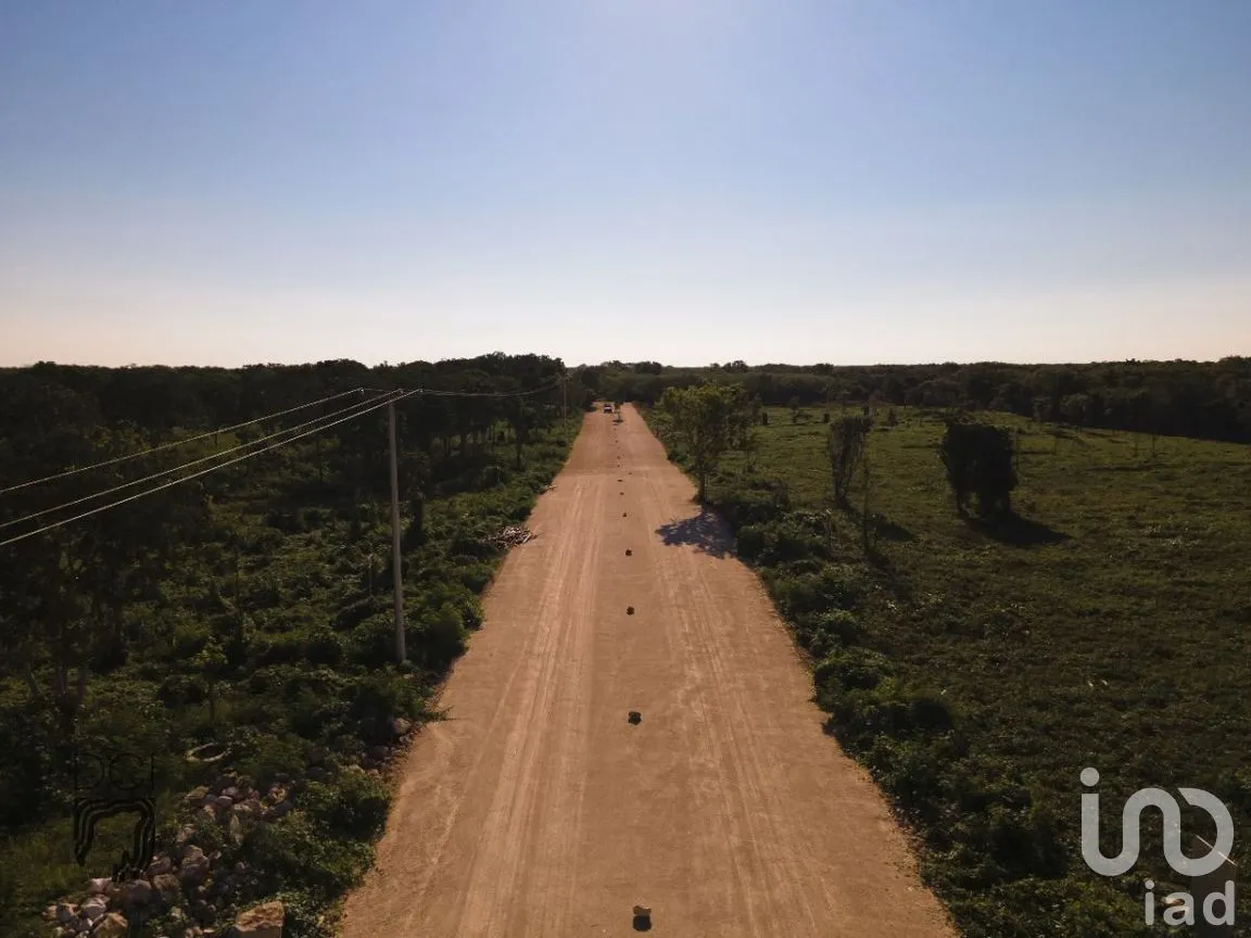 Terreno en Venta en Muxupip, Muxupip, Yucatán | NEX-273739 | iad México | Foto 2 de 6