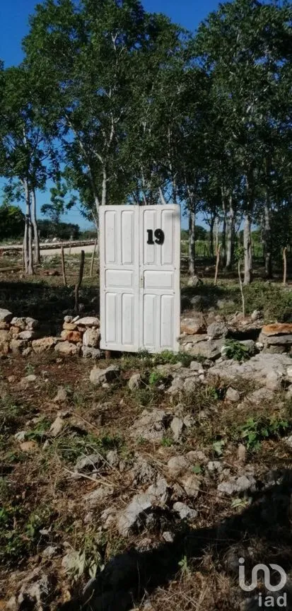 Terreno en Venta en Muxupip, Muxupip, Yucatán | NEX-273739 | iad México | Foto 4 de 6
