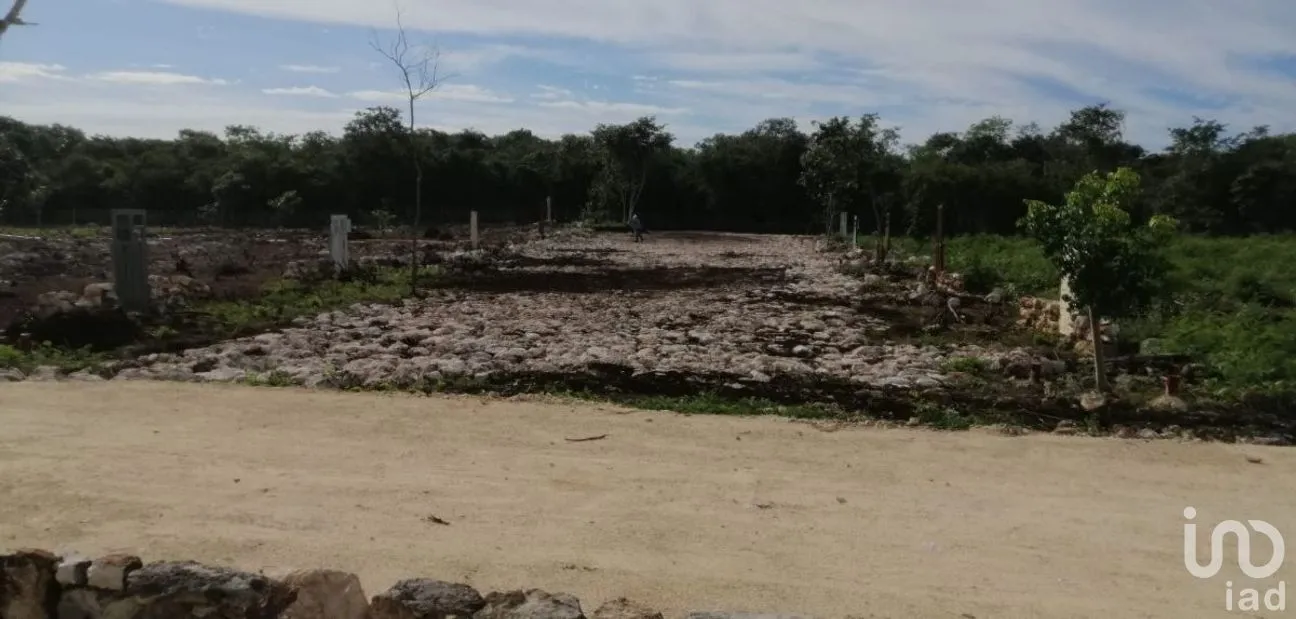 Terreno en Venta en Muxupip, Muxupip, Yucatán | NEX-273739 | iad México | Foto 6 de 6