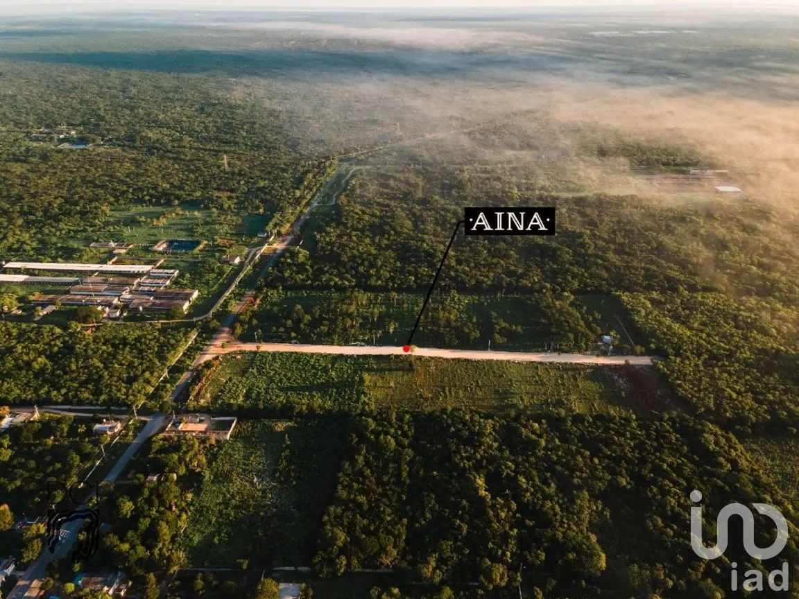 Terreno en Venta en Muxupip, Muxupip, Yucatán | NEX-273739 | iad México | Foto 1 de 6