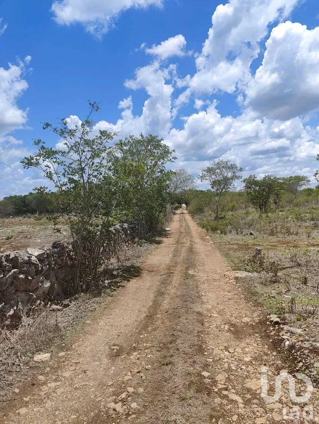 Terreno en Venta en Izamal, Izamal, Yucatán | NEX-274186 | iad México | Foto 2 de 10