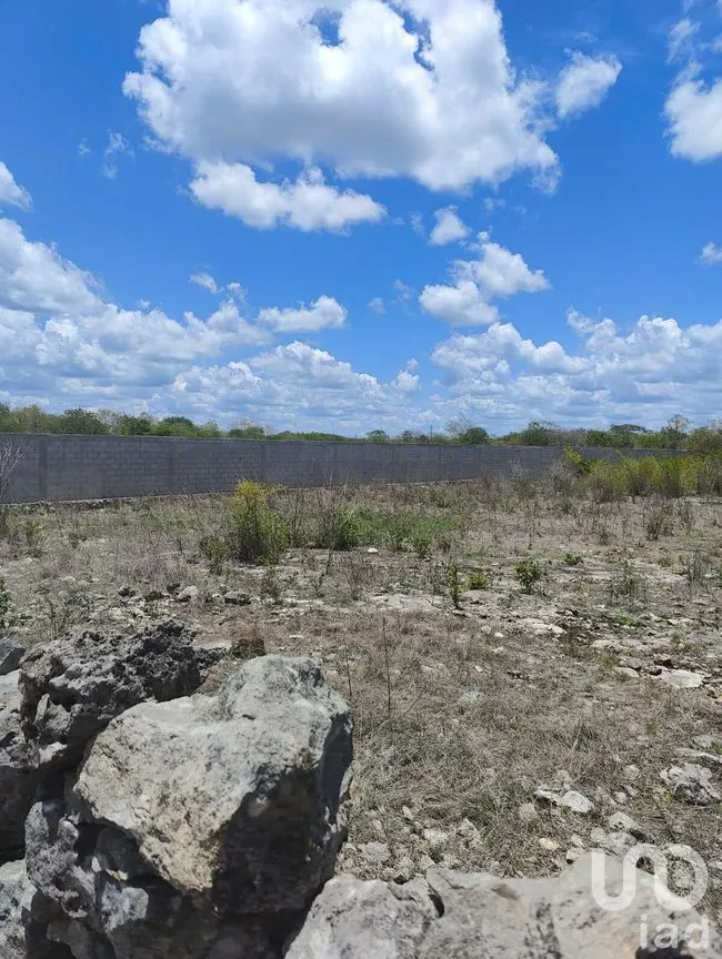 Terreno en Venta en Izamal, Izamal, Yucatán | NEX-274186 | iad México | Foto 4 de 10