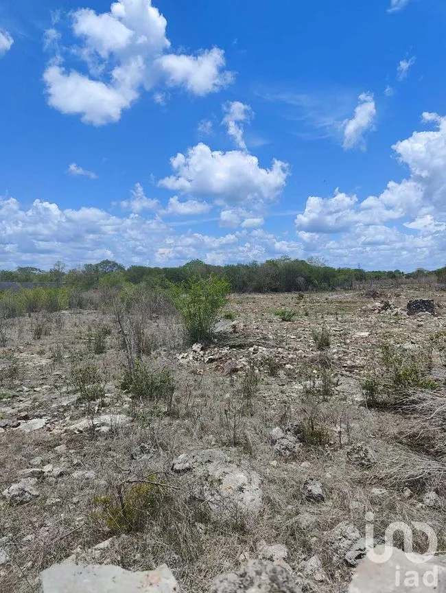 Terreno en Venta en Izamal, Izamal, Yucatán | NEX-274186 | iad México | Foto 5 de 10