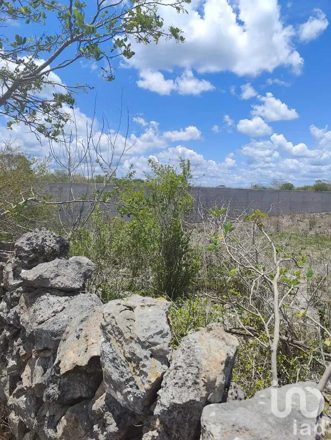 Terreno en Venta en Izamal, Izamal, Yucatán | NEX-274186 | iad México | Foto 7 de 10