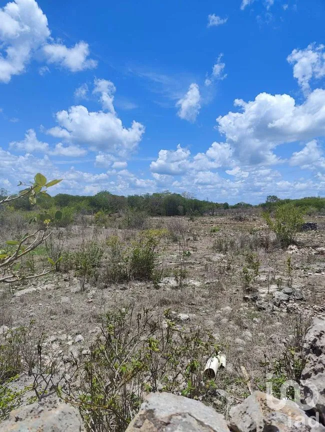 Terreno en Venta en Izamal, Izamal, Yucatán | NEX-274186 | iad México | Foto 9 de 10