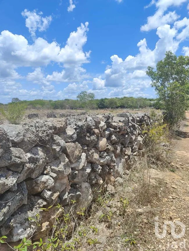 Terreno en Venta en Izamal, Izamal, Yucatán | NEX-274186 | iad México | Foto 10 de 10