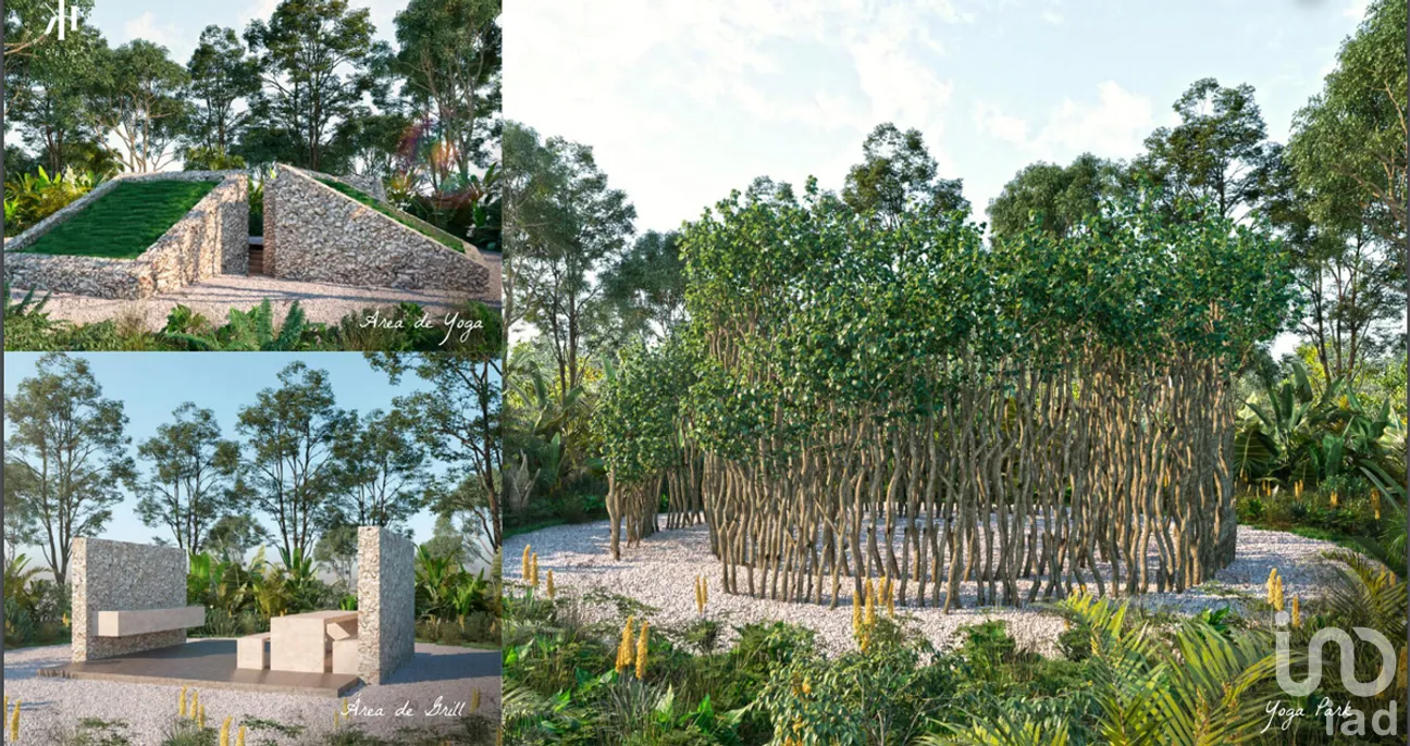 Terreno en Venta en San Crisanto, Sinanché, Yucatán | NEX-275228 | iad México | Foto 12 de 25