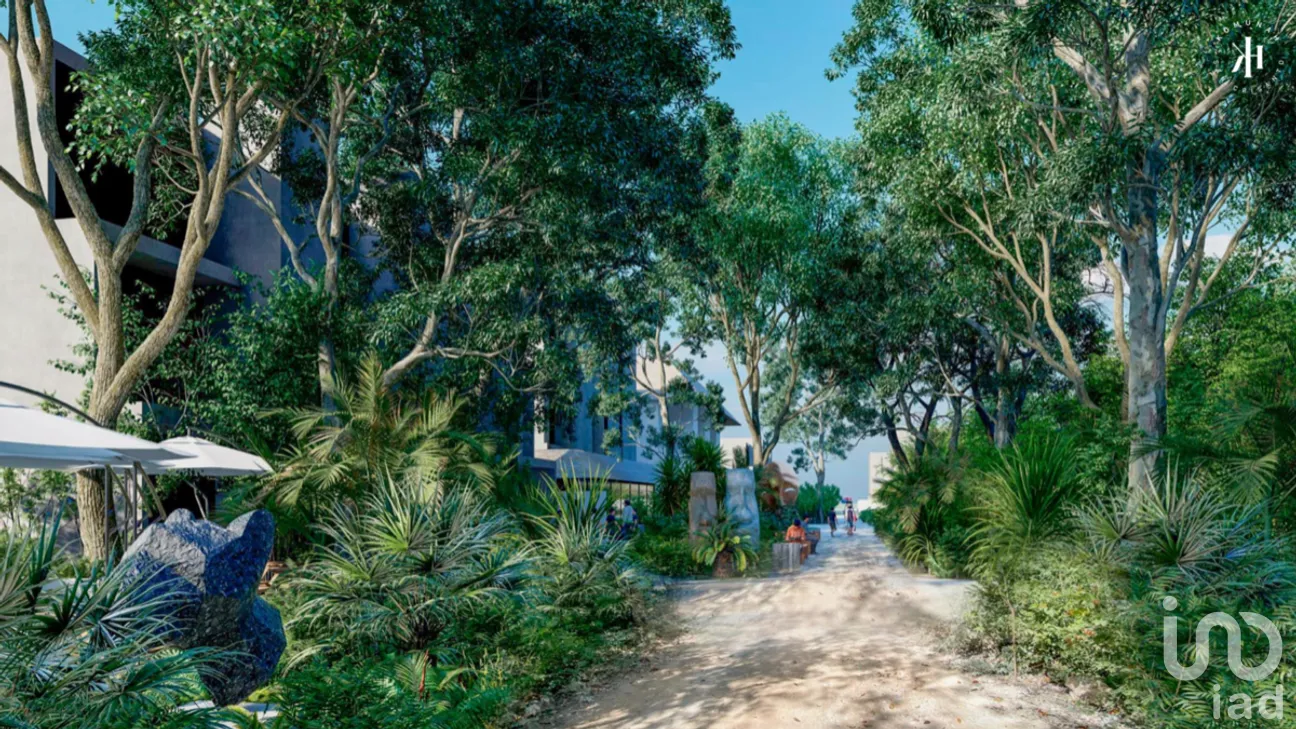Terreno en Venta en San Crisanto, Sinanché, Yucatán | NEX-275228 | iad México | Foto 13 de 25