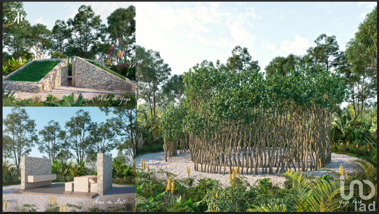 Terreno en Venta en San Crisanto, Sinanché, Yucatán | NEX-275228 | iad México | Foto 15 de 25