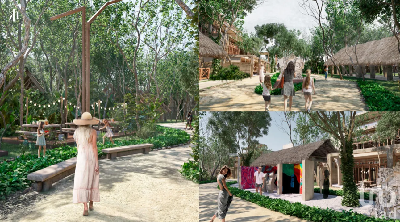 Terreno en Venta en San Crisanto, Sinanché, Yucatán | NEX-275228 | iad México | Foto 17 de 25