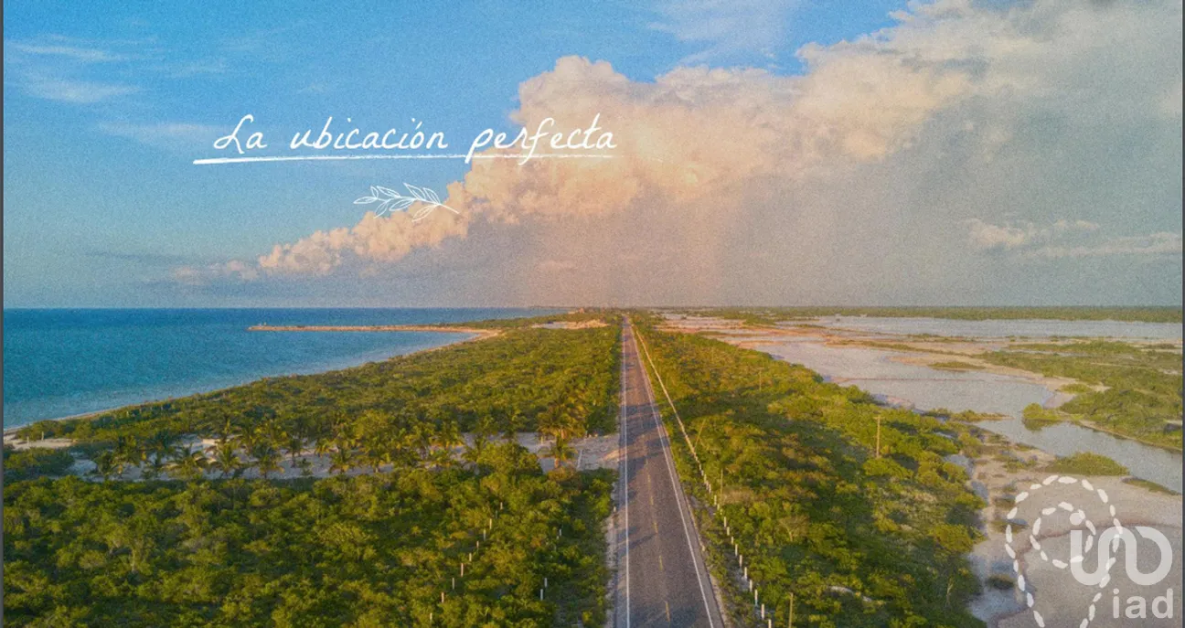 Terreno en Venta en San Crisanto, Sinanché, Yucatán | NEX-275228 | iad México | Foto 5 de 25