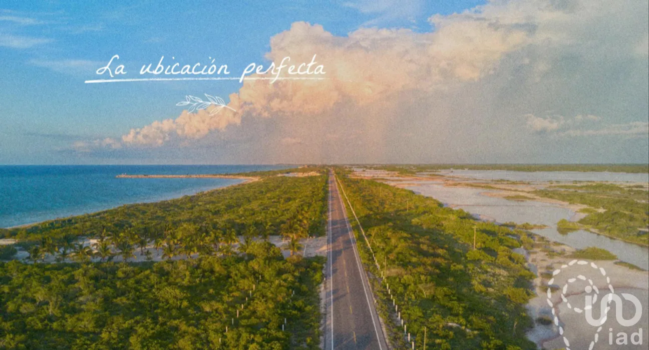 Terreno en Venta en San Crisanto, Sinanché, Yucatán | NEX-275228 | iad México | Foto 6 de 25