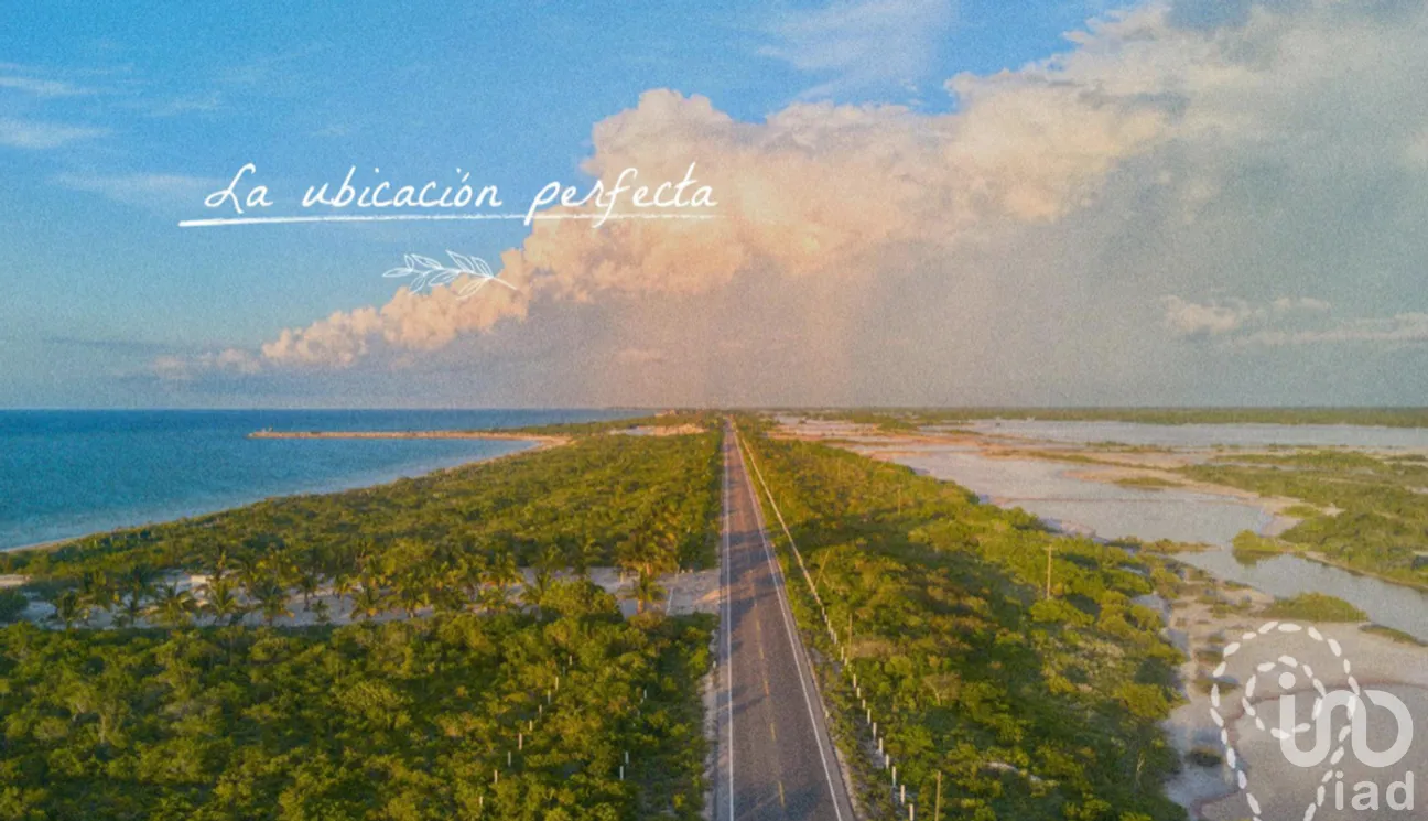 Terreno en Venta en San Crisanto, Sinanché, Yucatán | NEX-275228 | iad México | Foto 7 de 25