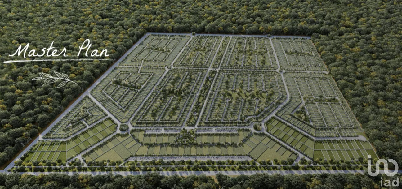 Terreno en Venta en San Crisanto, Sinanché, Yucatán | NEX-275228 | iad México | Foto 9 de 25