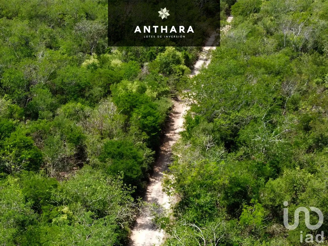 Terreno en Venta en Chicxulub, Chicxulub Pueblo, Yucatán | NEX-275601 | iad México | Foto 2 de 4