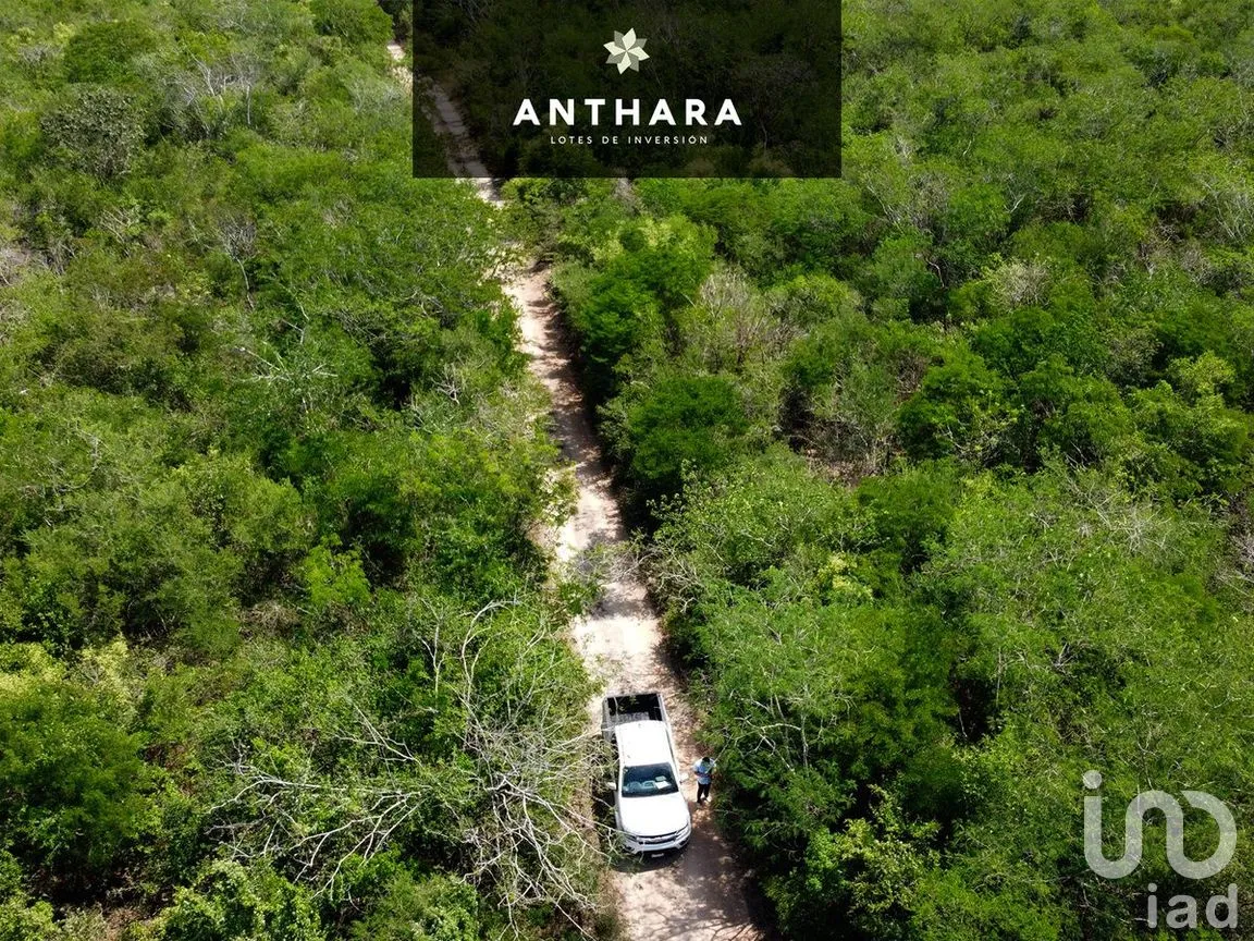 Terreno en Venta en Chicxulub, Chicxulub Pueblo, Yucatán | NEX-275601 | iad México | Foto 3 de 4
