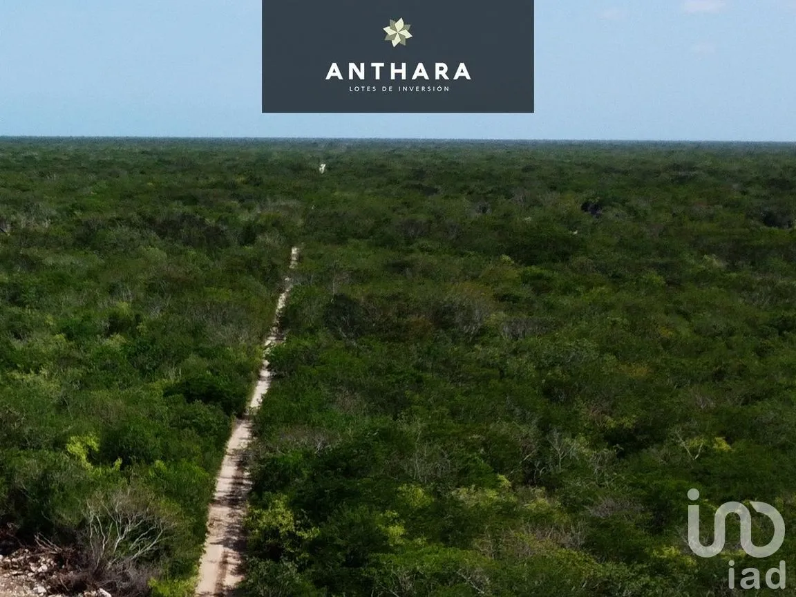 Terreno en Venta en Chicxulub, Chicxulub Pueblo, Yucatán | NEX-275601 | iad México | Foto 4 de 4
