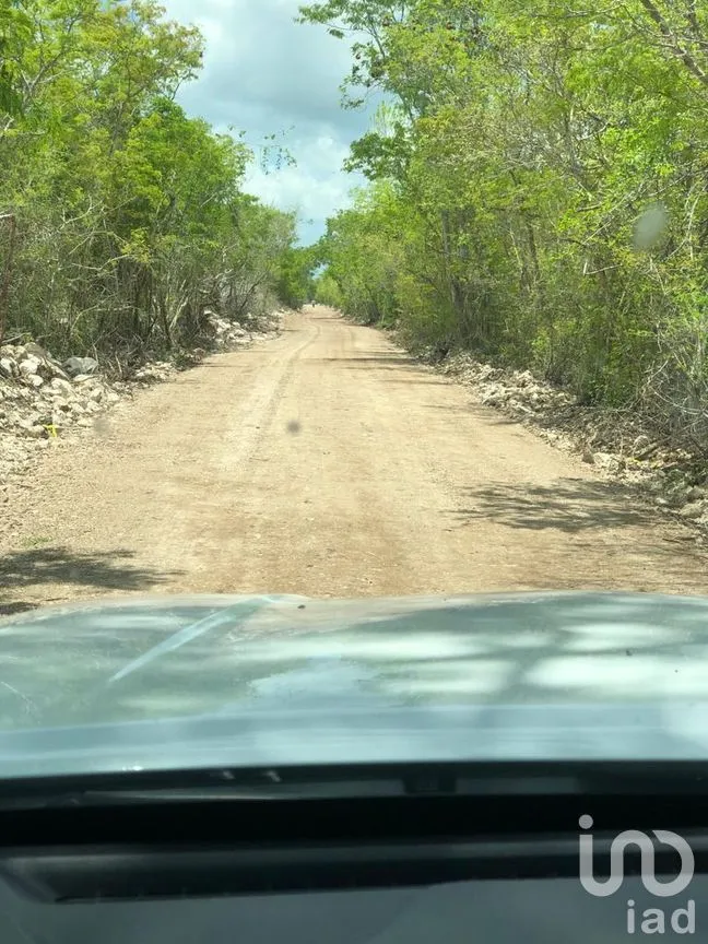 Terreno en Venta en Chicxulub, Chicxulub Pueblo, Yucatán | NEX-275603 | iad México | Foto 5 de 7