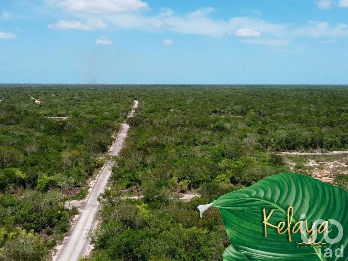 Terreno en Venta en Chicxulub, Chicxulub Pueblo, Yucatán | NEX-275603 | iad México | Foto 7 de 7
