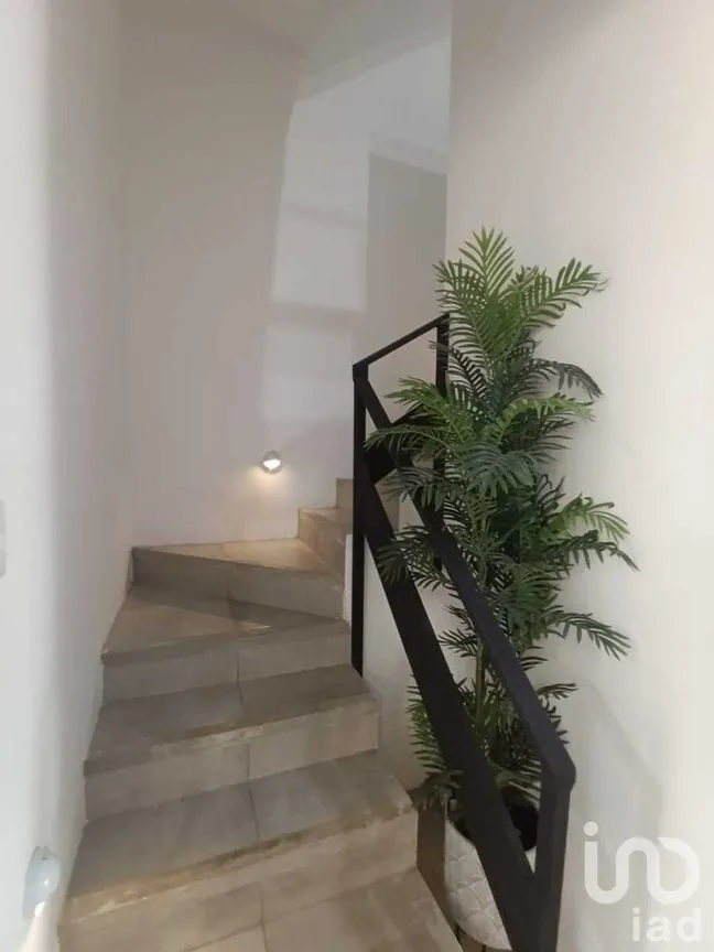 Casa en Renta en Montebello, Mérida, Yucatán | NEX-276384 | iad México | Foto 4 de 12