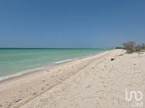 NEX-277172 - Terreno en Venta en Sisal, CP 97356, Yucatán.