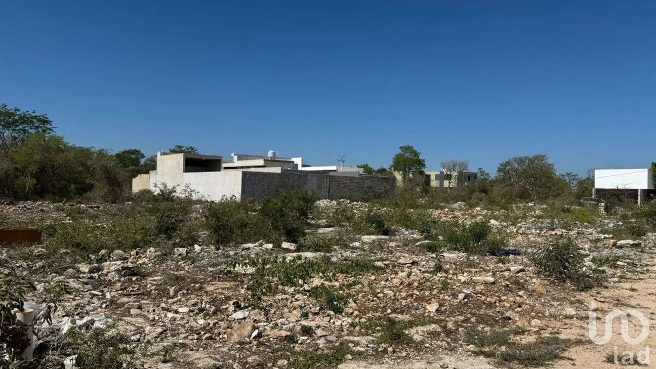 Terreno en Venta en Dzityá, Mérida, Yucatán | NEX-278938 | iad México | Foto 4 de 7