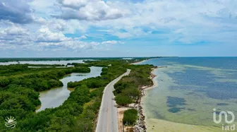 NEX-288661 - Terreno en Venta en Santa Clara, CP 97504, Yucatán.
