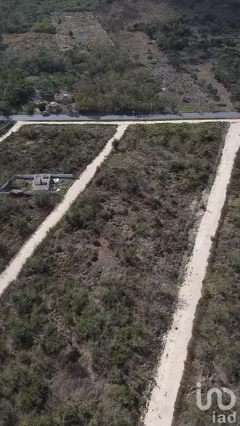 Terreno en Venta en Uci, Motul, Yucatán | NEX-290329 | iad México | Foto 2 de 4