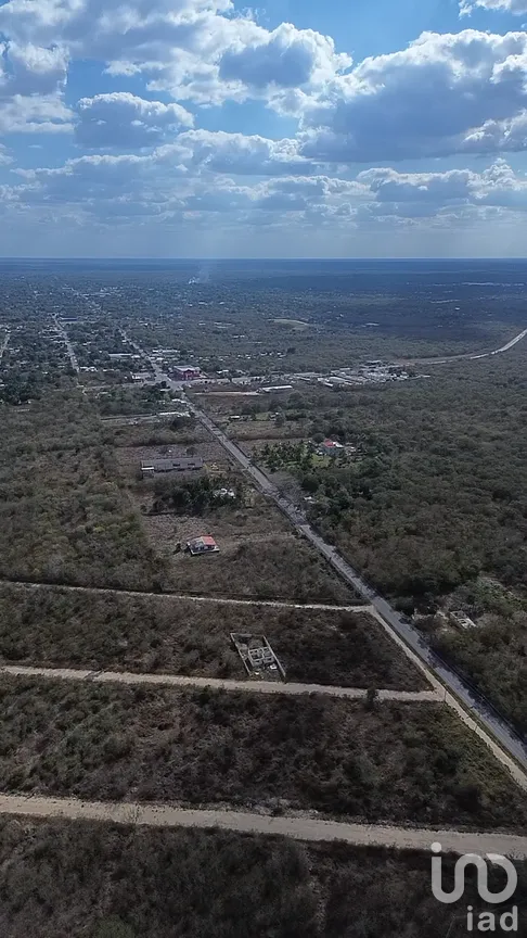 Terreno en Venta en Uci, Motul, Yucatán | NEX-290329 | iad México | Foto 3 de 4