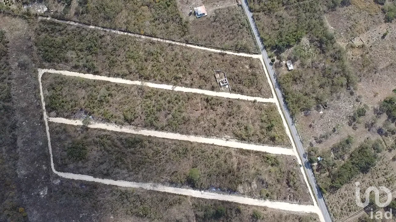 Terreno en Venta en Uci, Motul, Yucatán | NEX-290329 | iad México | Foto 4 de 4
