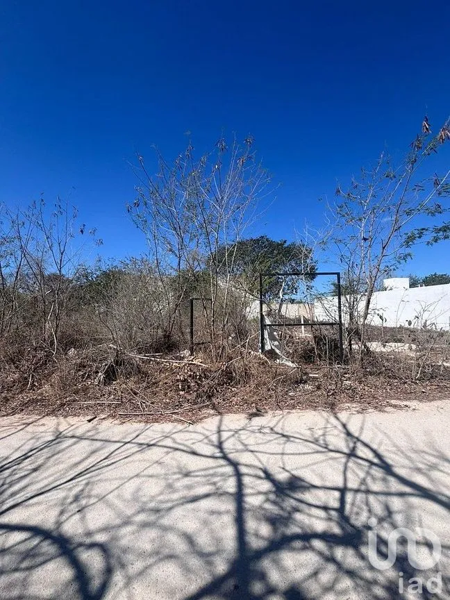 Terreno en Venta en Dzityá, Mérida, Yucatán | NEX-292279 | iad México | Foto 3 de 4