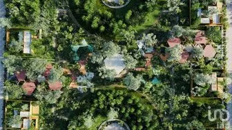 NEX-293105 - Terreno en Venta en San Crisanto, CP 97424, Yucatán.