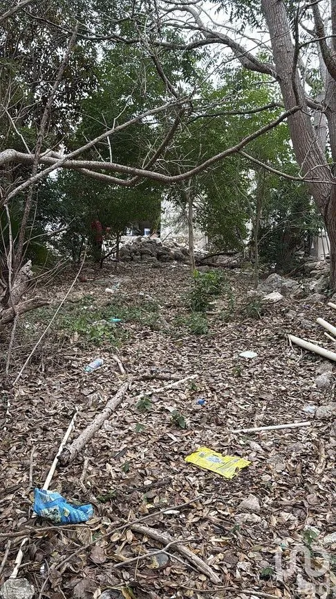 Terreno en Venta en Montes de Ame, Mérida, Yucatán | NEX-293748 | iad México | Foto 11 de 12