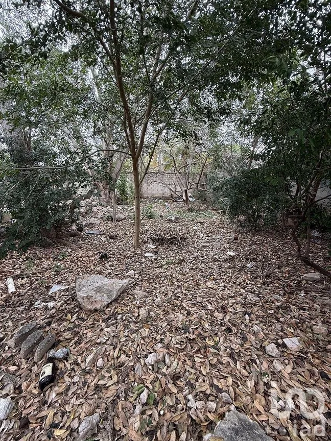 Terreno en Venta en Montes de Ame, Mérida, Yucatán | NEX-293748 | iad México | Foto 3 de 12