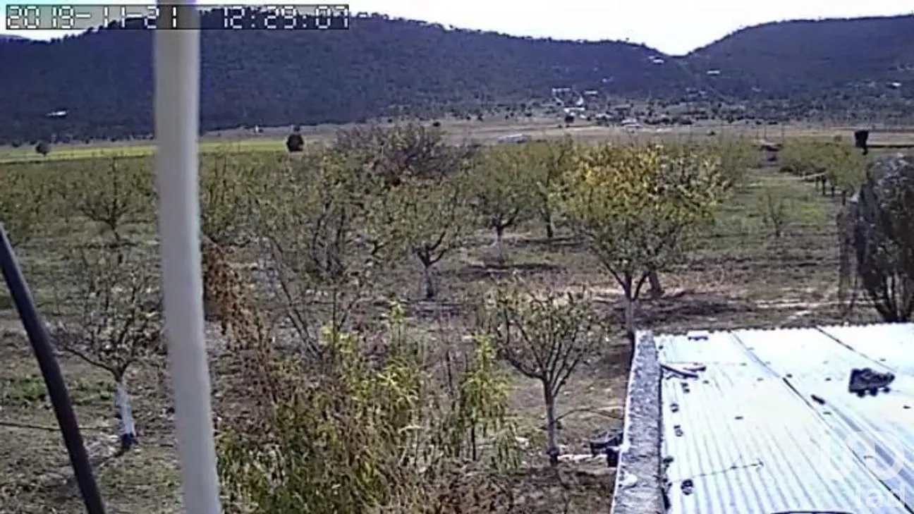 Terreno en Venta en Los Lirios, Arteaga, Coahuila | NEX-266896 | iad México | Foto 3 de 9