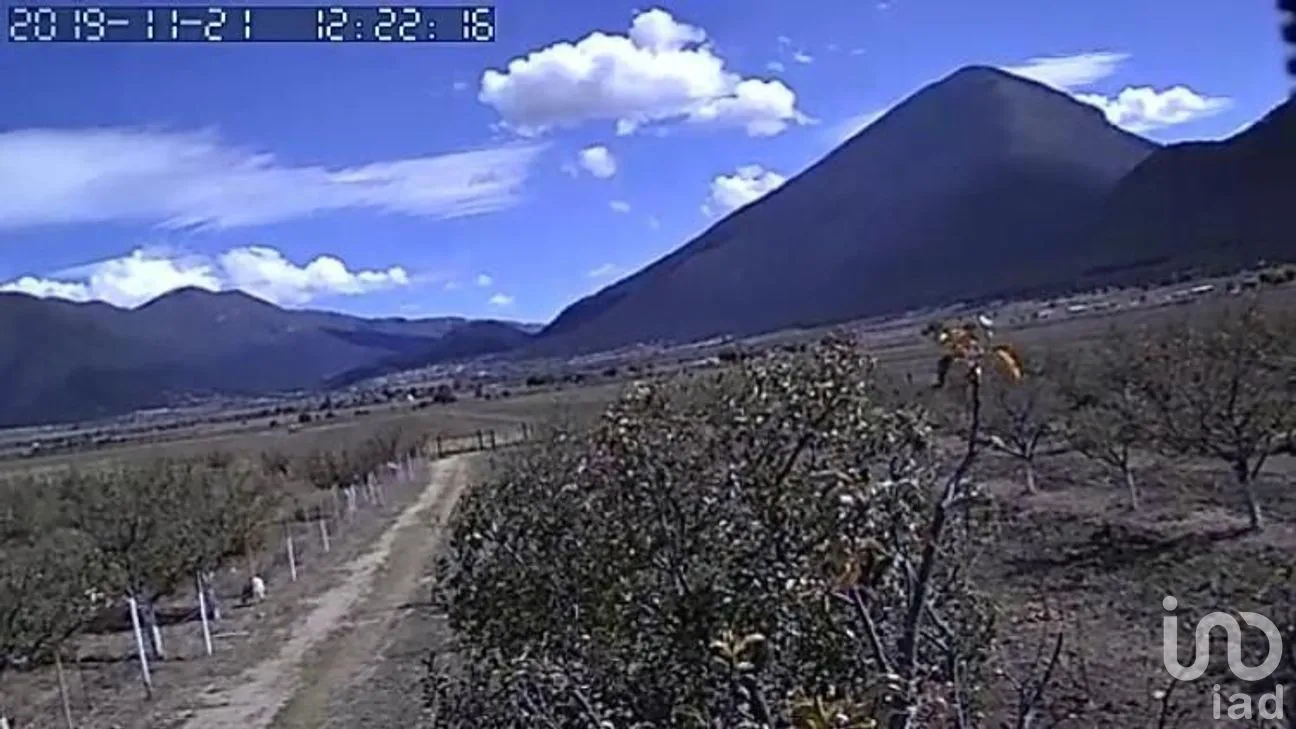 Terreno en Venta en Los Lirios, Arteaga, Coahuila | NEX-266896 | iad México | Foto 4 de 9
