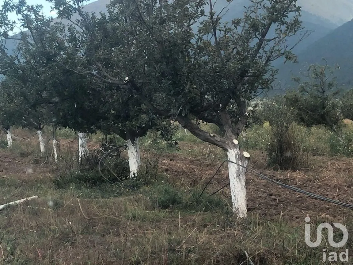 Terreno en Venta en Los Lirios, Arteaga, Coahuila | NEX-266896 | iad México | Foto 5 de 9