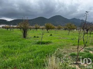 NEX-266896 - Terreno en Venta en Los Lirios, CP 25360, Coahuila.