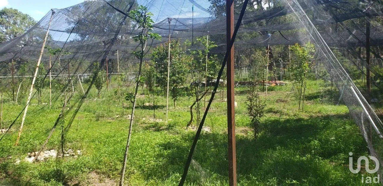 Casa en Venta en El Poleo, Arteaga, Coahuila | NEX-266904 | iad México | Foto 4 de 23