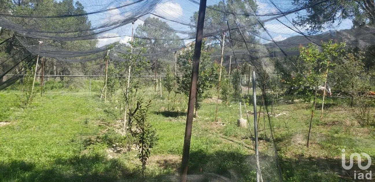 Casa en Venta en El Poleo, Arteaga, Coahuila | NEX-266904 | iad México | Foto 5 de 23