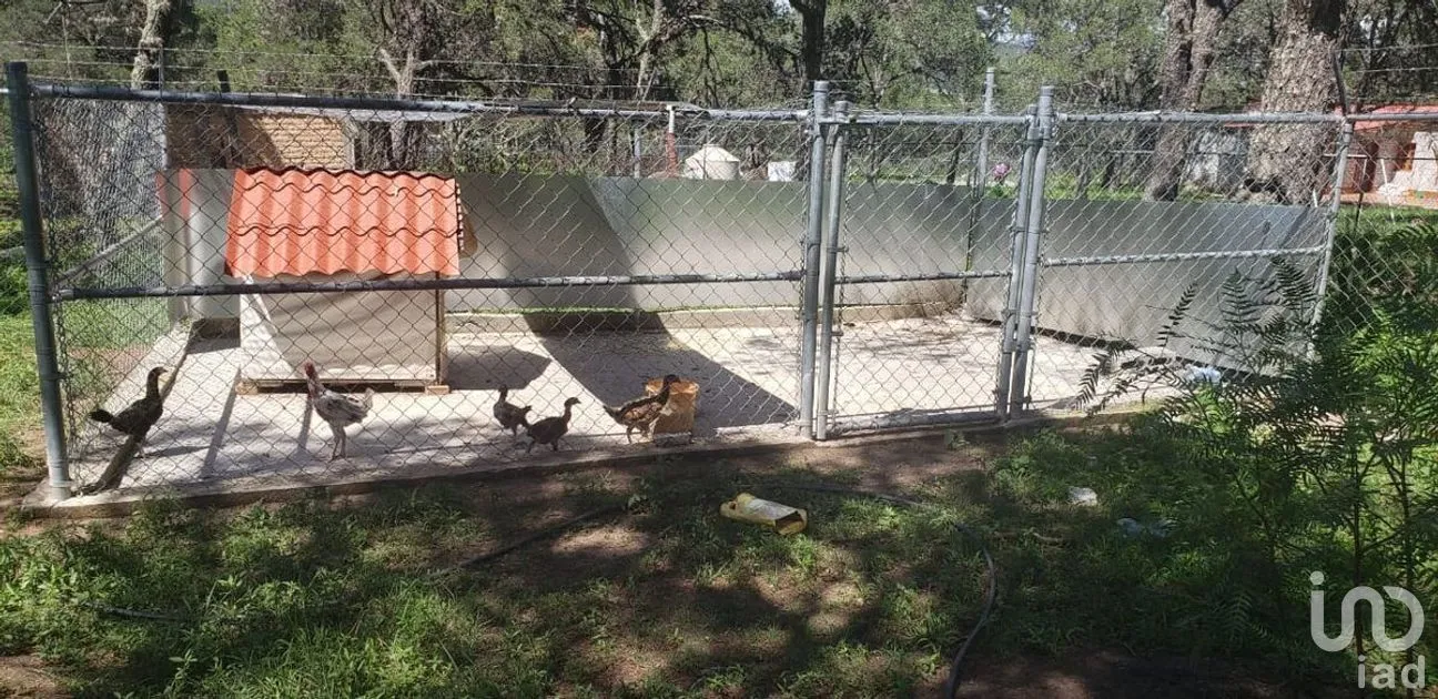Casa en Venta en El Poleo, Arteaga, Coahuila | NEX-266904 | iad México | Foto 6 de 23