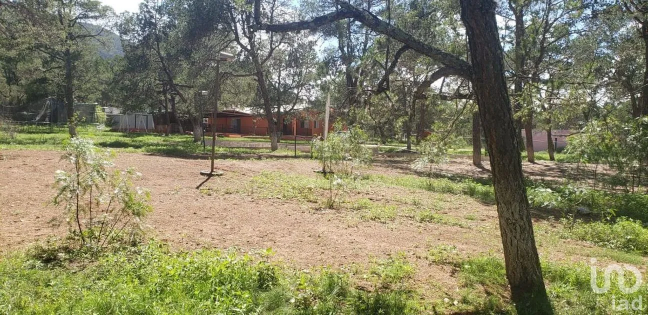 Casa en Venta en El Poleo, Arteaga, Coahuila | NEX-266904 | iad México | Foto 7 de 23