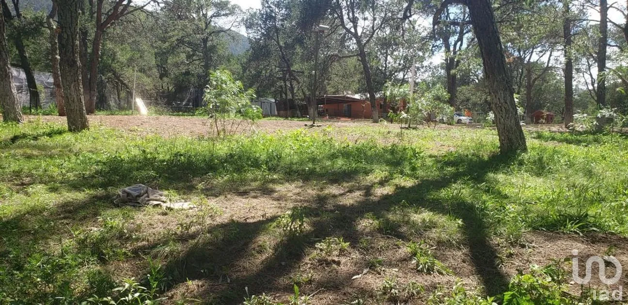 Casa en Venta en El Poleo, Arteaga, Coahuila | NEX-266904 | iad México | Foto 9 de 23