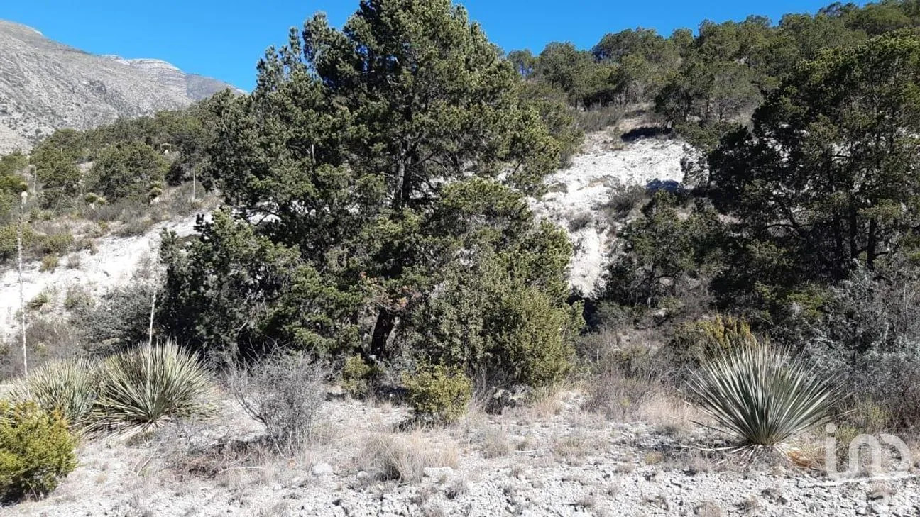 Terreno en Venta en Arteaga Centro, Arteaga, Coahuila | NEX-266907 | iad México | Foto 2 de 19