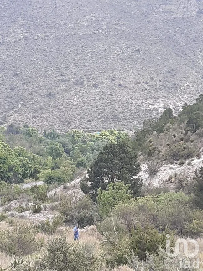 Terreno en Venta en Arteaga Centro, Arteaga, Coahuila | NEX-266907 | iad México | Foto 12 de 19