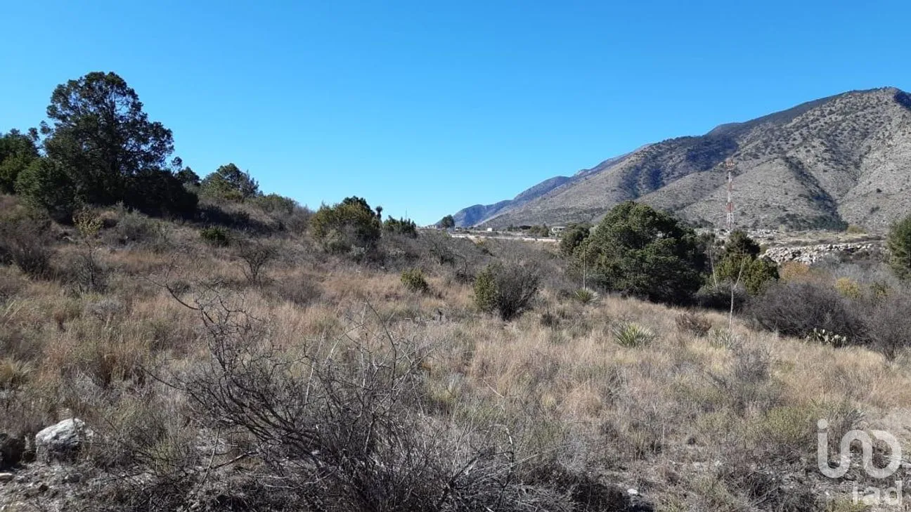 Terreno en Venta en Arteaga Centro, Arteaga, Coahuila | NEX-266907 | iad México | Foto 6 de 19