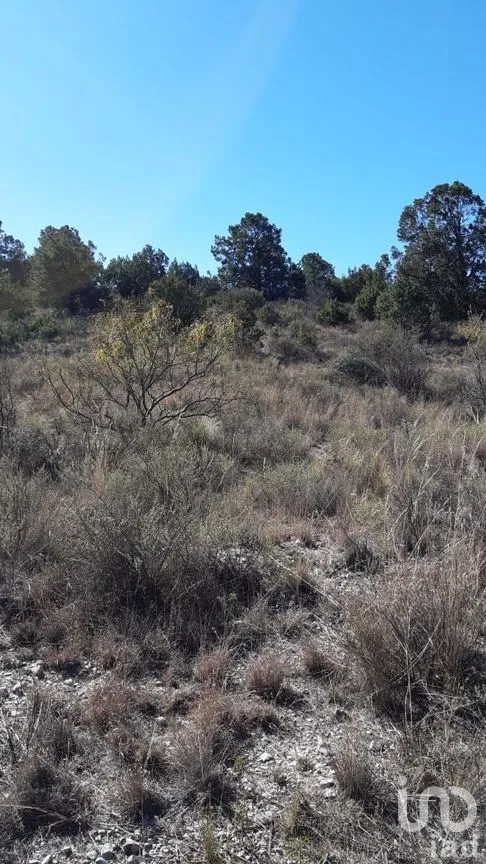 Terreno en Venta en Arteaga Centro, Arteaga, Coahuila | NEX-266907 | iad México | Foto 9 de 19