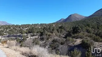 NEX-266907 - Terreno en Venta en Arteaga Centro, CP 25350, Coahuila.