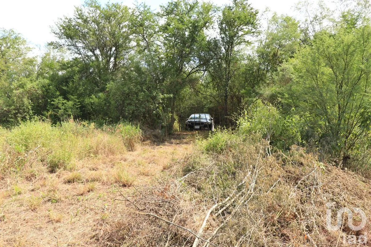 Terreno en Venta en Gil de Leyva, Montemorelos, Nuevo León | NEX-266908 | iad México | Foto 4 de 12