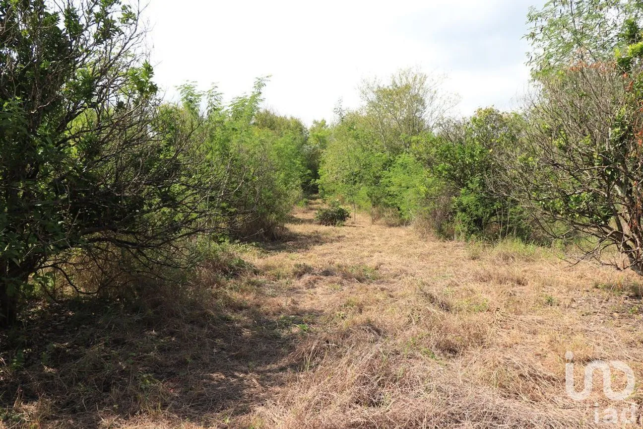 Terreno en Venta en Gil de Leyva, Montemorelos, Nuevo León | NEX-266908 | iad México | Foto 1 de 12